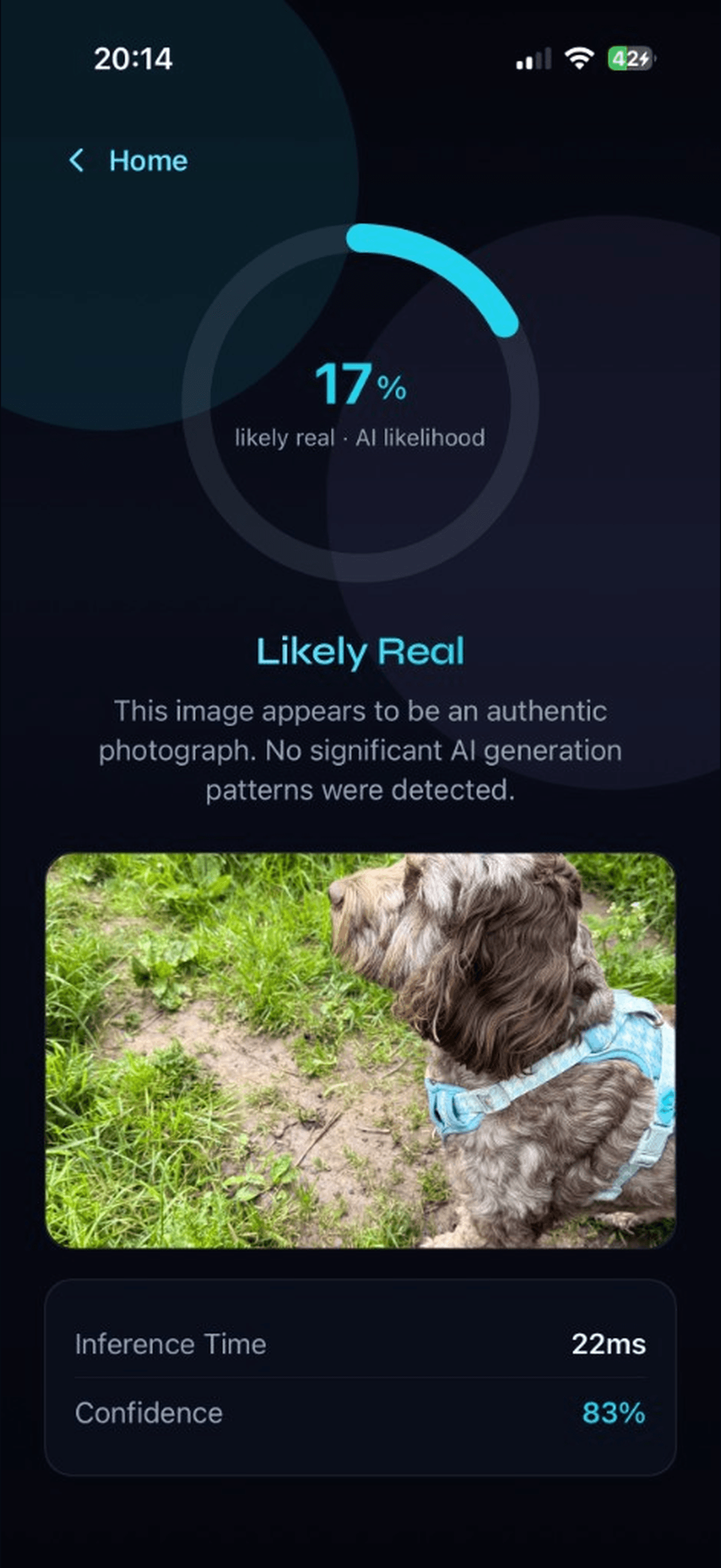 Result screen showing likely real photograph